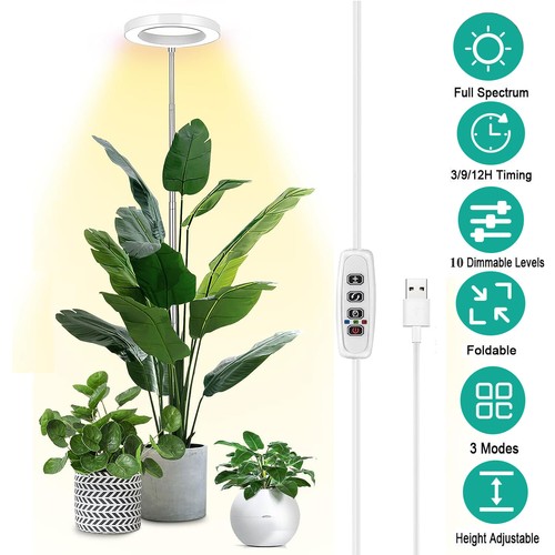 Led grow light plant - led, growing