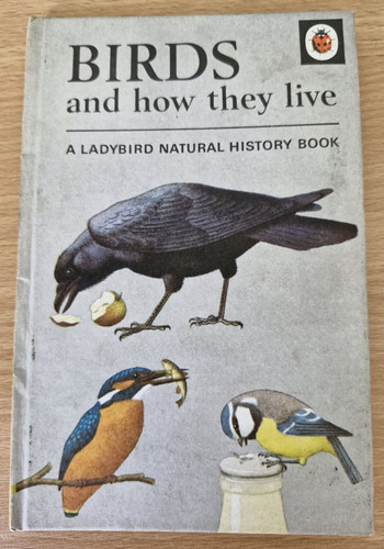 Birds and how they - how,