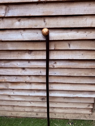 Hazel walking stick - walking, burl