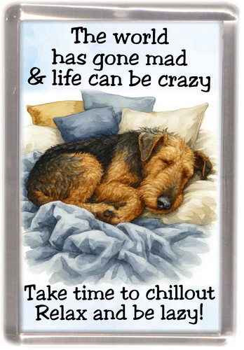 Airedale terrier dog fridge - terrier,