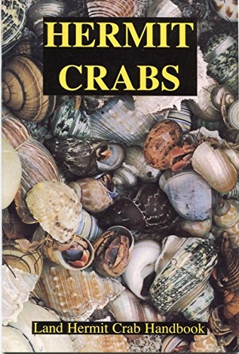 Hermit crabs land - hermit, crabs: