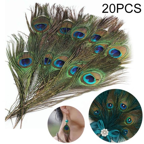 80cm long natural - long, peacock
