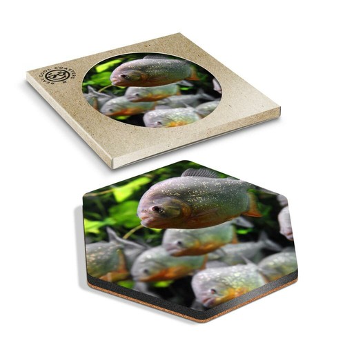 Hexagon coaster aquarium - hexagon,