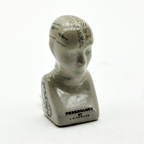 Phrenology head - head, 6"