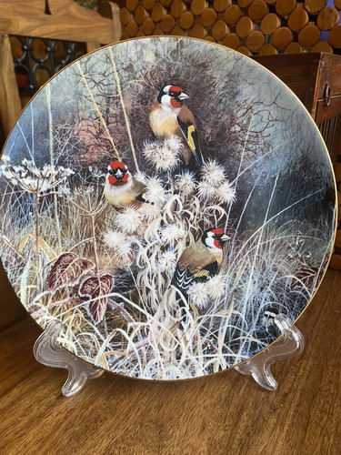 Coalport bird plate - coalport,