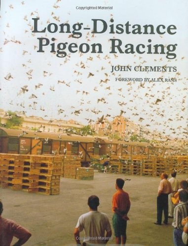 Long distance pigeon - pigeon, racing