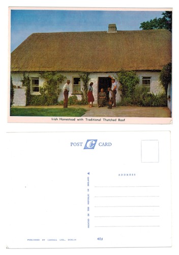 Postcard irish homestead - postcard,