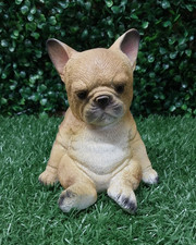 dog 14cm x 11.5cm x 11cm latex