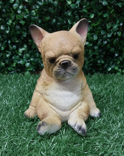 Dog 14cm 5cm 11cm latex - 14cm,