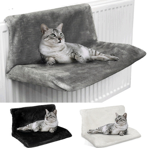 Cat kitten radiator bed pet - radiator,