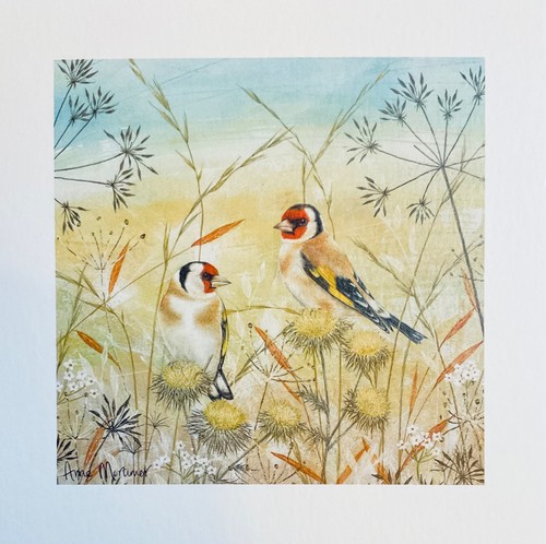 Goldfinch meadow flowers - in,