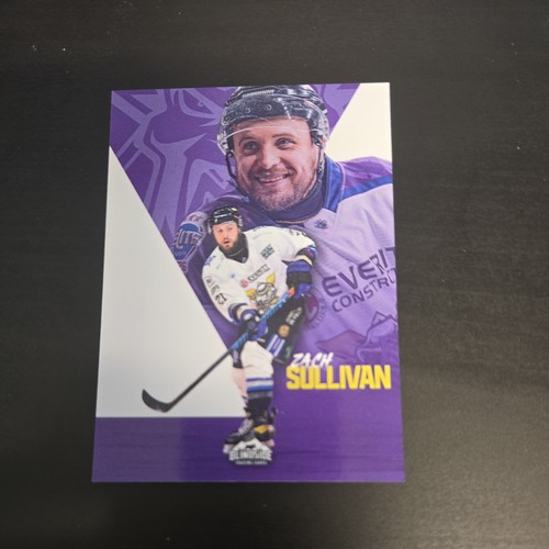 Zach sullivan poster - sullivan,