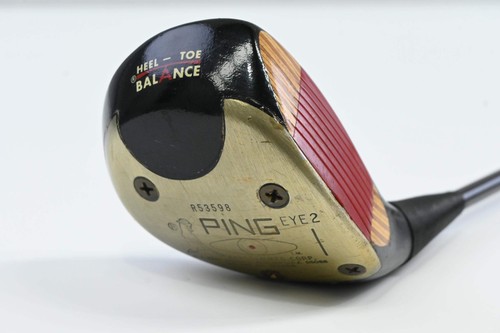 Ping eye driver 10 - ping, /
