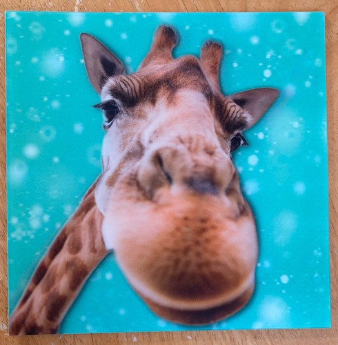 Giraffe 3d holographic - 3d,