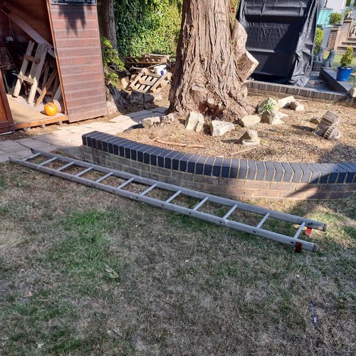Single section ladder - ladder,