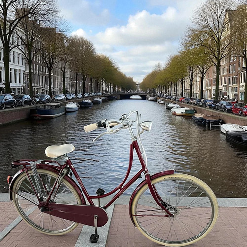 Batavus old dutch - batavus,