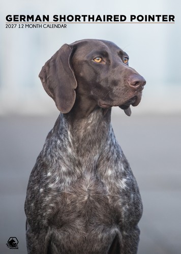 German shorthaired pointer - shorthaired,