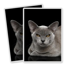 2x Vertical Vinyl Stickers