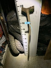 1.1M Blackthorn Seasoned Shank