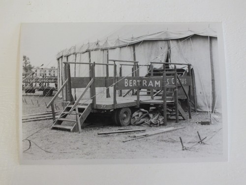 Bertram mills circus wagon - mills,