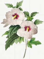 Tile Mural/Mosaic Ceramic