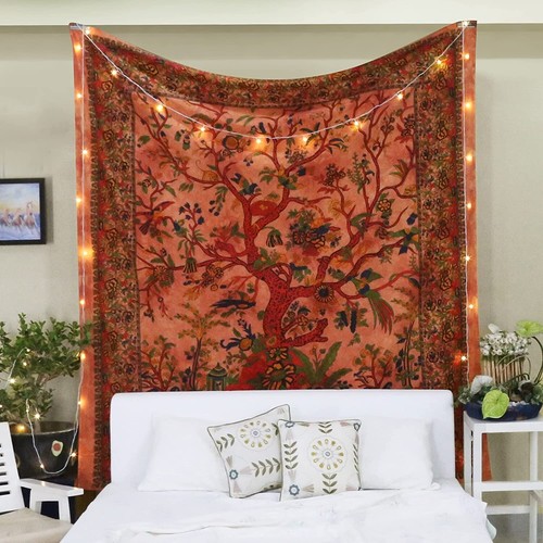 Orange tree life - orange, of