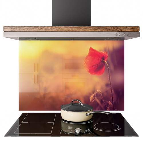 Glass splashback kitchen - splashback,