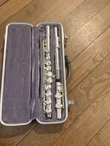 Simba flute with hard - simba,