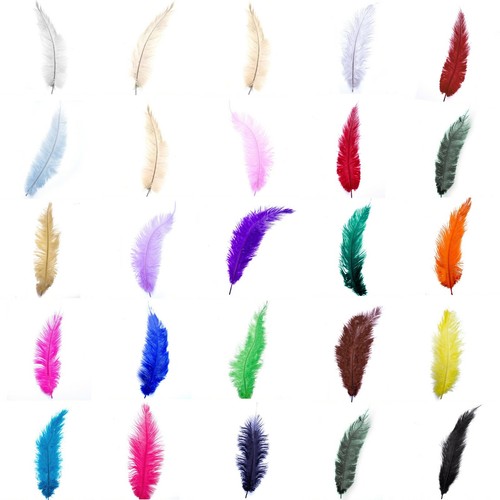 Ostrich feathers 12 - 10", 12"