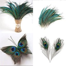 20pcs Natural Peacock Tail