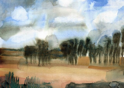 Hedged meadows elizabetha - hedged,