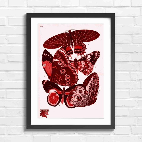 Vintage botanical butterfly - vintage,