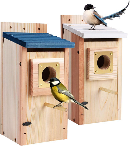 Pack bluebird houses outdoor - 2,
