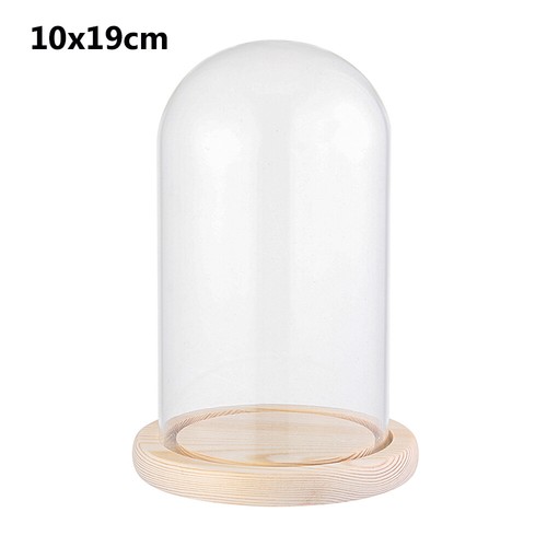 Glass dome display bell jar - glass,