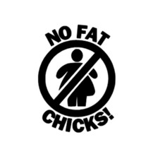 NO FAT CHICKS 12cm x 8cm sticker/decal funny joke car/van bumper 4x4 caravan vw