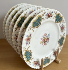 Royal Albert - Berkeley - Set of SIX  10 1/4"  25.5 cm Dinner Plates 1st Quality