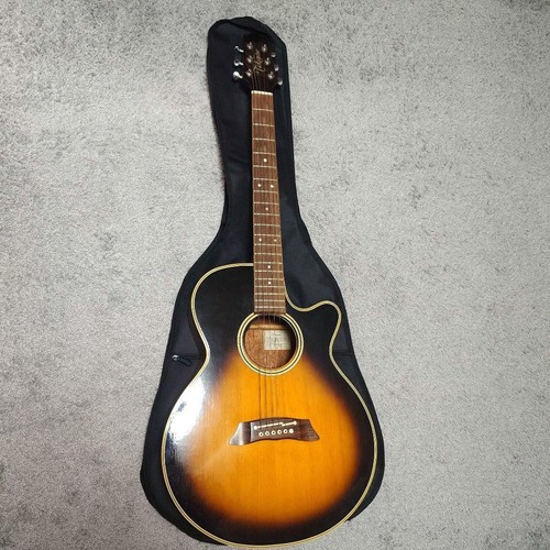 Takamine 106 electric - takamine,