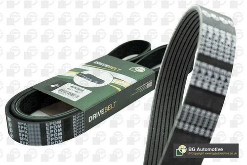 Drive belt ribbed - drive,
