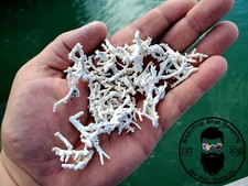 1lb Crushed Coral Substrate-