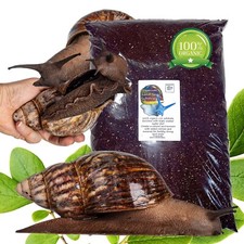 African Land Snail Substrate soil PREMIUM With Oyster, Garden snails, GALS calci