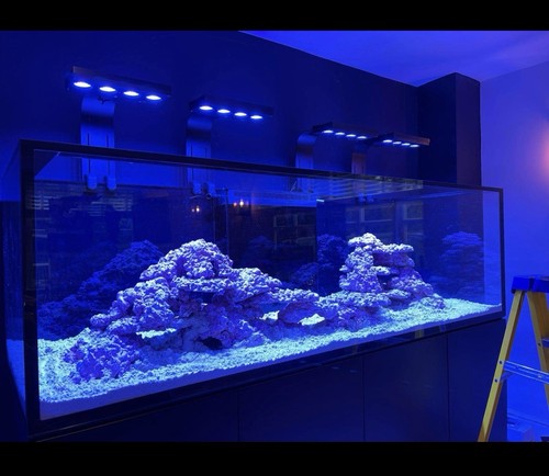 Red sea s1000 reef tank - reef,