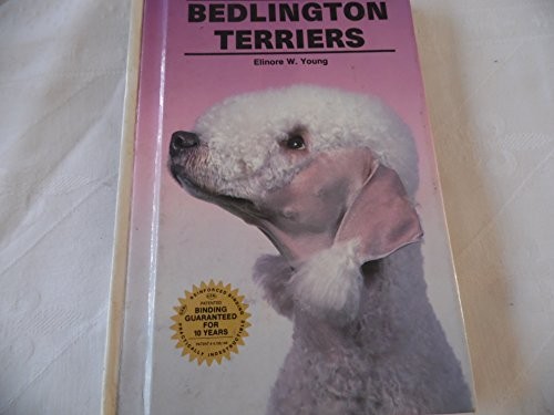 Bedlington terriers young - terriers,,