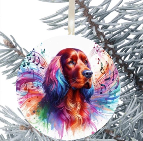 Red setter dog - dog, present