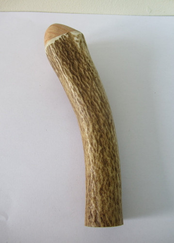 Red deer stag antler roll - stag,