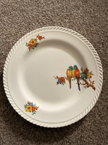 Coronet ware parrot - coronet,