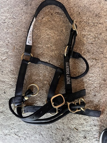 Monty roberts dually - roberts, head