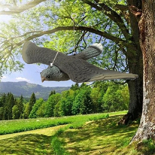 Fake falcon hawk bird - 3d,