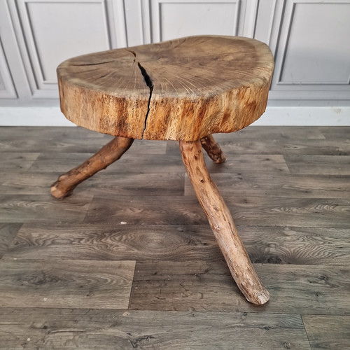 Rustic tree coffee table - coffee,