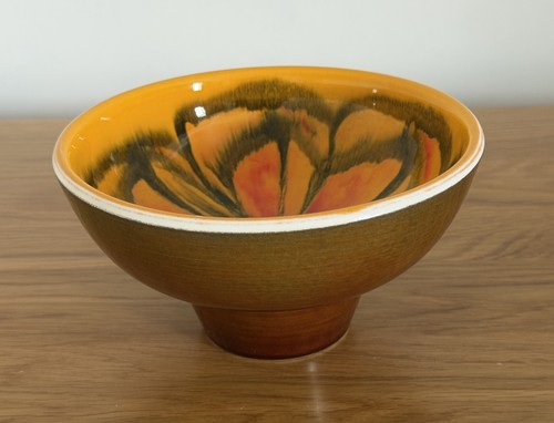 Vintage poole pottery - pottery, delphis