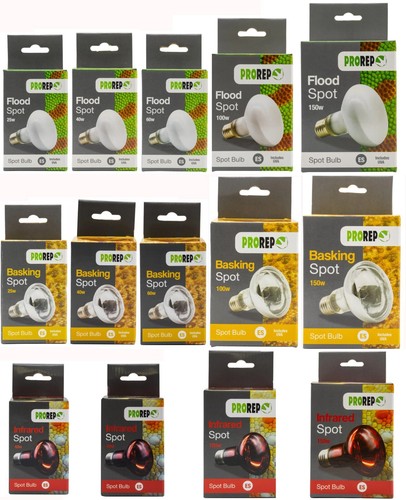 Prorep reptile light heat bulb - light,